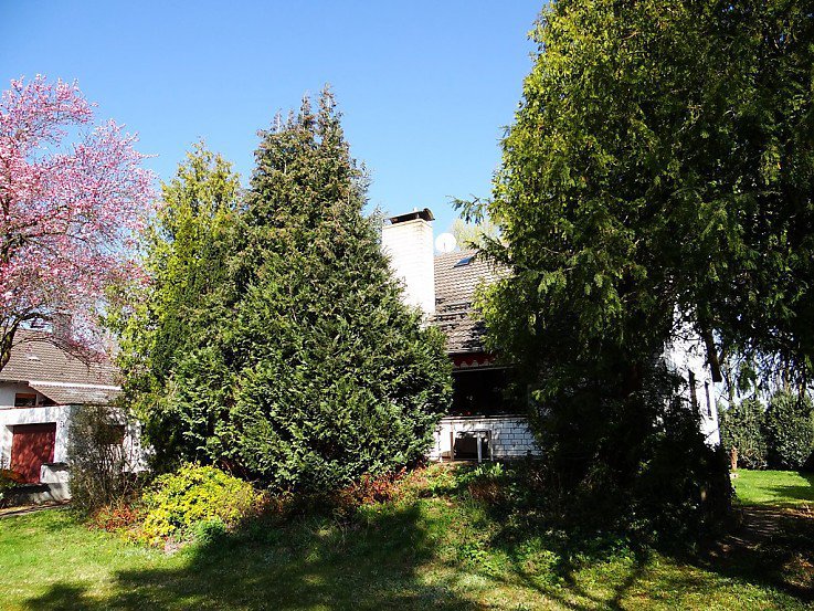 Foto Flonheim
